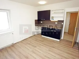 Pronájem bytu 1+kk, Neratovice, 25 m2
