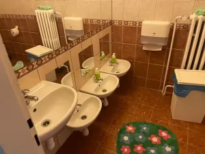 Dražba - jiné, Praha - Nové Město, Salmovská, 284 m2