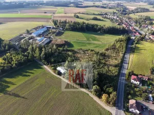 Prodej lesa, Sazomín, 11295 m2