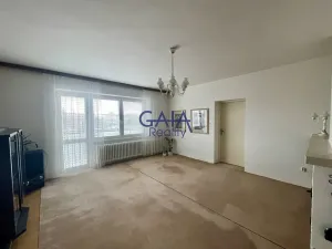 Prodej rodinného domu, Veselí nad Moravou, Břestek, 230 m2