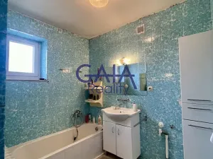 Prodej rodinného domu, Veselí nad Moravou, Břestek, 230 m2