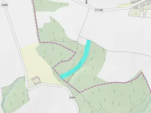 Prodej lesa, Olbramice, 12592 m2