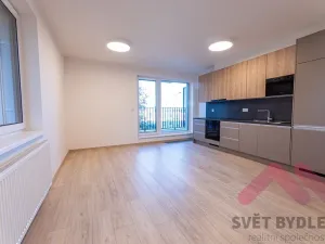 Pronájem bytu 2+kk, Praha - Řepy, Laudova, 61 m2