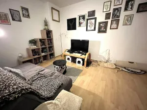 Pronájem bytu 2+kk, Brno - Slatina, Langrova, 64 m2