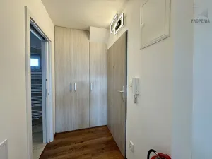 Pronájem bytu 2+kk, Brno, Mahenova, 50 m2