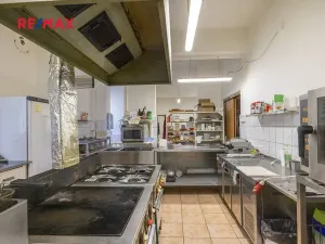 Prodej obchodního prostoru, Čelákovice, Rumunská, 794 m2