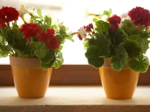 Prodej rodinného domu, Maroulas, Řecko, 221 m2