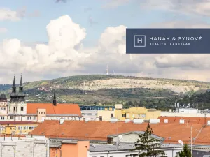 Pronájem bytu 1+kk, Brno, Cejl, 26 m2