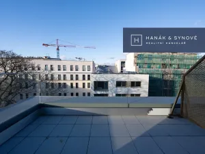 Pronájem bytu 1+kk, Brno, Cejl, 32 m2