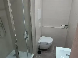 Pronájem bytu 1+1, Plzeň, Na Dlouhých, 40 m2