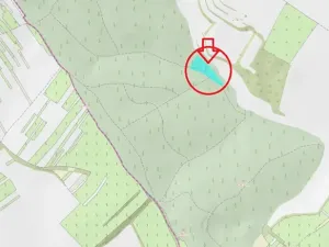 Prodej lesa, Čejkovice, 8895 m2