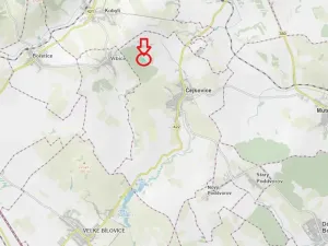 Prodej lesa, Čejkovice, 8895 m2