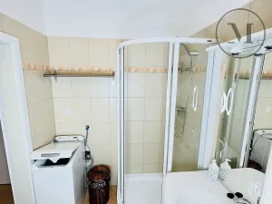 Pronájem bytu 1+1, České Budějovice, Riegrova, 55 m2