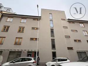 Pronájem bytu 1+1, České Budějovice, Riegrova, 55 m2