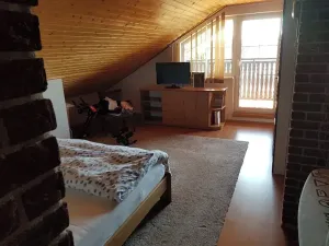 Prodej rodinného domu, Horní Bludovice, 330 m2