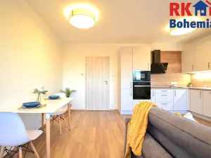 Pronájem bytu 1+kk, Český Brod, Klučovská, 33 m2