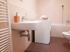 Pronájem bytu 1+kk, Brno, Šemberova, 48 m2