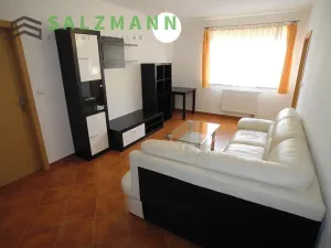 Pronájem bytu 2+1, Plzeň, Malesická, 50 m2