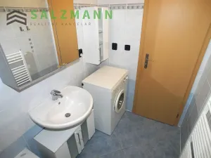 Pronájem bytu 2+1, Plzeň, Malesická, 50 m2