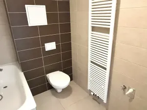 Pronájem bytu 1+kk, Plzeň, Železniční, 40 m2