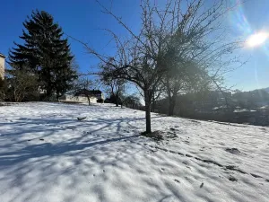 Prodej rodinného domu, Česká Třebová, Grégrova, 100 m2