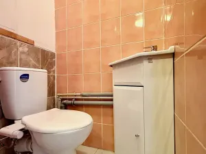 Prodej bytu 1+kk, Pardubice, Valčíkova, 29 m2