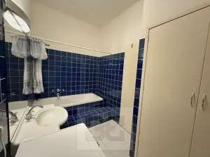 Pronájem bytu 4+kk, Praha - Vinohrady, Londýnská, 96 m2