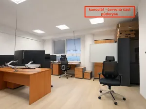 Pronájem kanceláře, Brno, Příkop, 226 m2