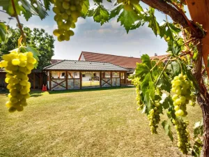 Prodej rodinného domu, Žabovřesky, 950 m2