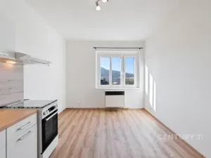 Pronájem bytu 1+1, Děčín, Riegrova, 37 m2