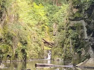 Prodej chaty, Skryje, 41 m2