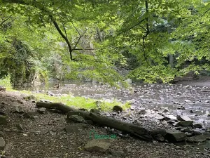 Prodej chaty, Skryje, 41 m2