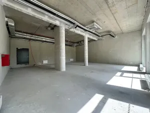 Pronájem obchodního prostoru, Brno, Opuštěná, 134 m2