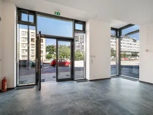 Prodej restaurace, Praha - Žižkov, Olšanská, 352 m2