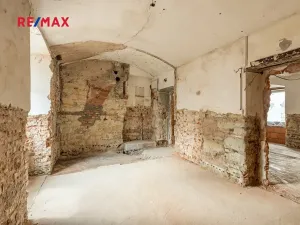 Prodej vícegeneračního domu, Koleč, 404 m2