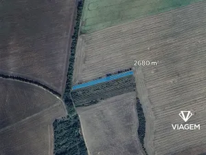 Prodej podílu zahrady, Tvarožná Lhota, 893 m2