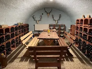 Prodej ubytování, Štědrá, 1787 m2