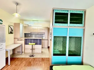 Pronájem bytu 1+kk, Brno, Bednaříkova, 31 m2