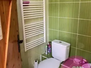 Pronájem obchodního prostoru, Olomouc, Karolíny Světlé, 55 m2