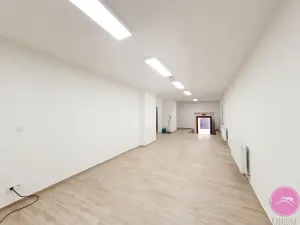 Pronájem skladu, Olomouc, Uhelná, 80 m2