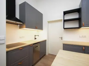 Pronájem bytu 1+1, Praha - Vinohrady, Polská, 42 m2