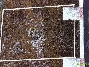 Prodej pozemku pro bydlení, Mýto, 601 m2