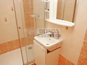 Pronájem bytu 2+kk, Neratovice, 43 m2