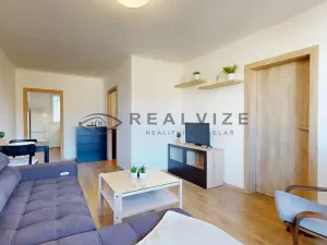 Prodej bytu 2+1, České Budějovice, Lidická tř., 48 m2