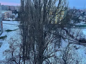 Pronájem bytu 3+1, Olomouc, Fischerova, 70 m2