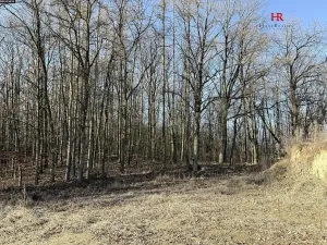 Prodej rodinného domu, Bukovany, 126 m2