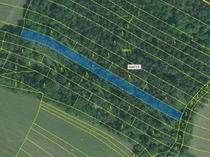 Dražba lesa, Milavče, 4689 m2