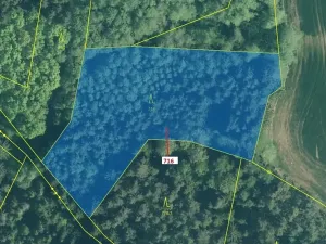 Dražba lesa, Kuřimany, 4499 m2