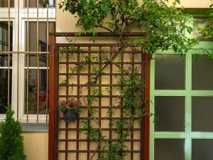 Pronájem bytu 1+kk, Praha - Žižkov, Vlkova, 25 m2