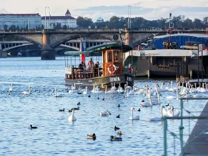 Prodej bytu 1+kk, Praha - Nusle, Bělehradská, 40 m2